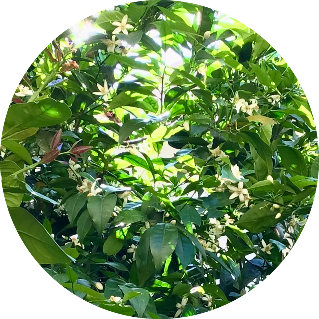 419f4c4e-1824-49a4-8179-a43746657eb2 419f4c4e-1824-49a4-8179-a43746657eb2