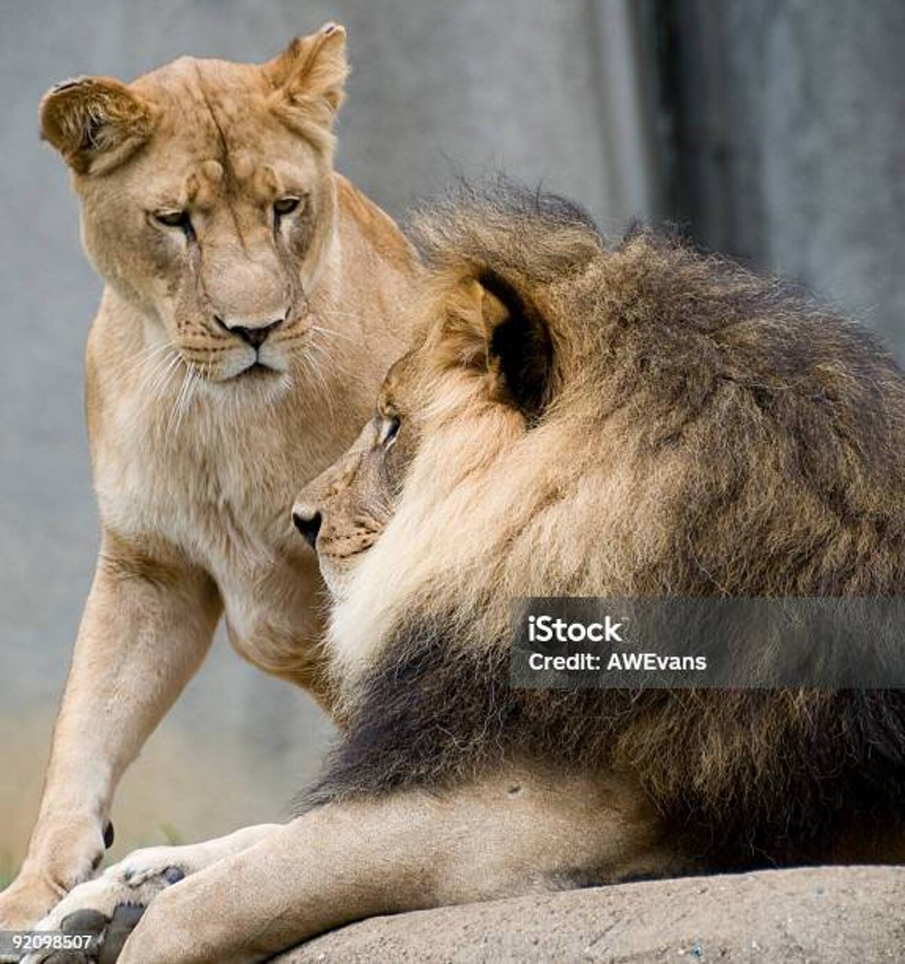 4afa3049-9f92-4d78-9171-56f397af8fb8