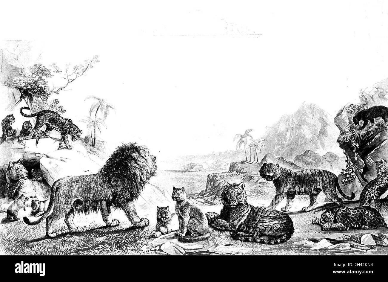 bf9a2cb3-91b6-45ff-a1ee-58030e135c0a bf9a2cb3-91b6-45ff-a1ee-58030e135c0a