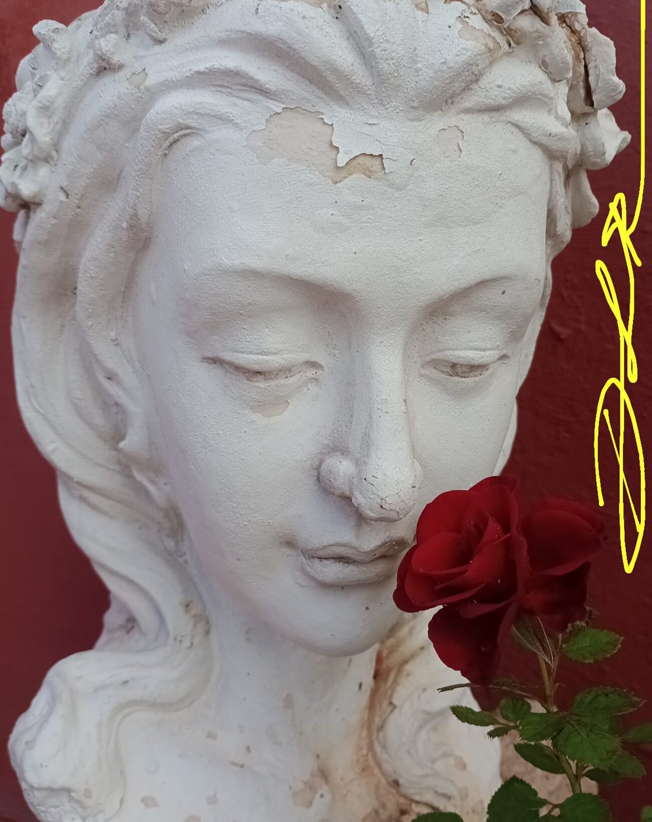 db2d9a91-75f8-4529-8692-1b141c17c55d