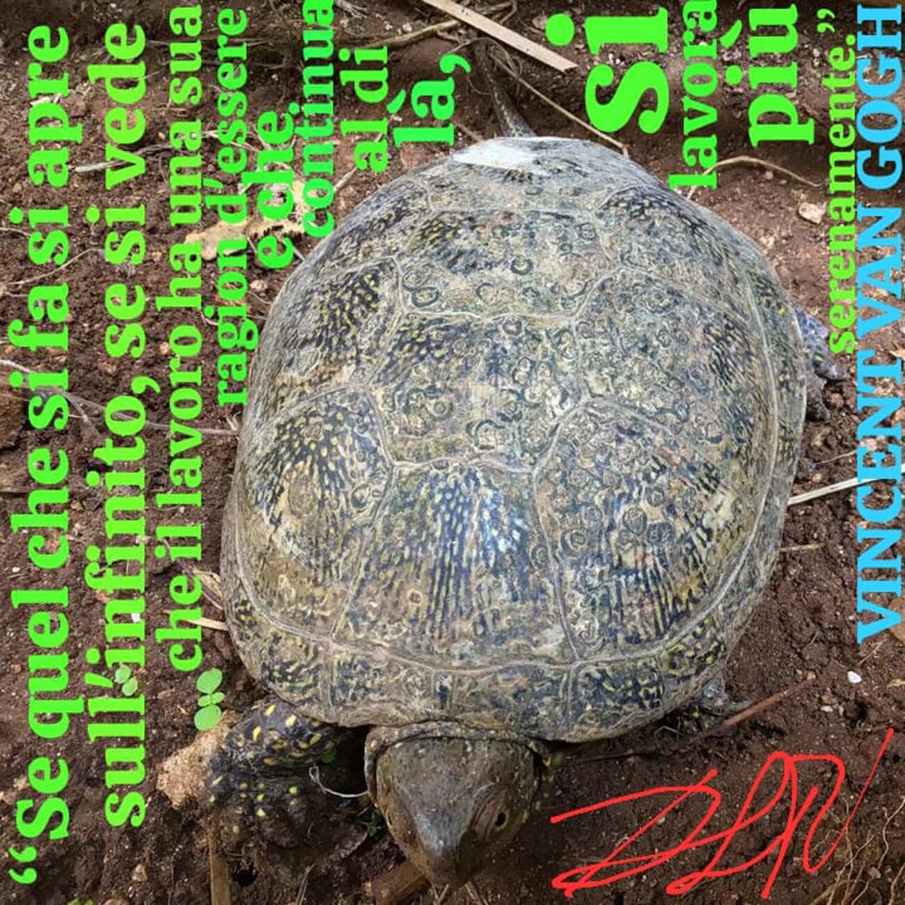 828db863-2f1f-47b2-ae33-c7486b718bcb 828db863-2f1f-47b2-ae33-c7486b718bcb