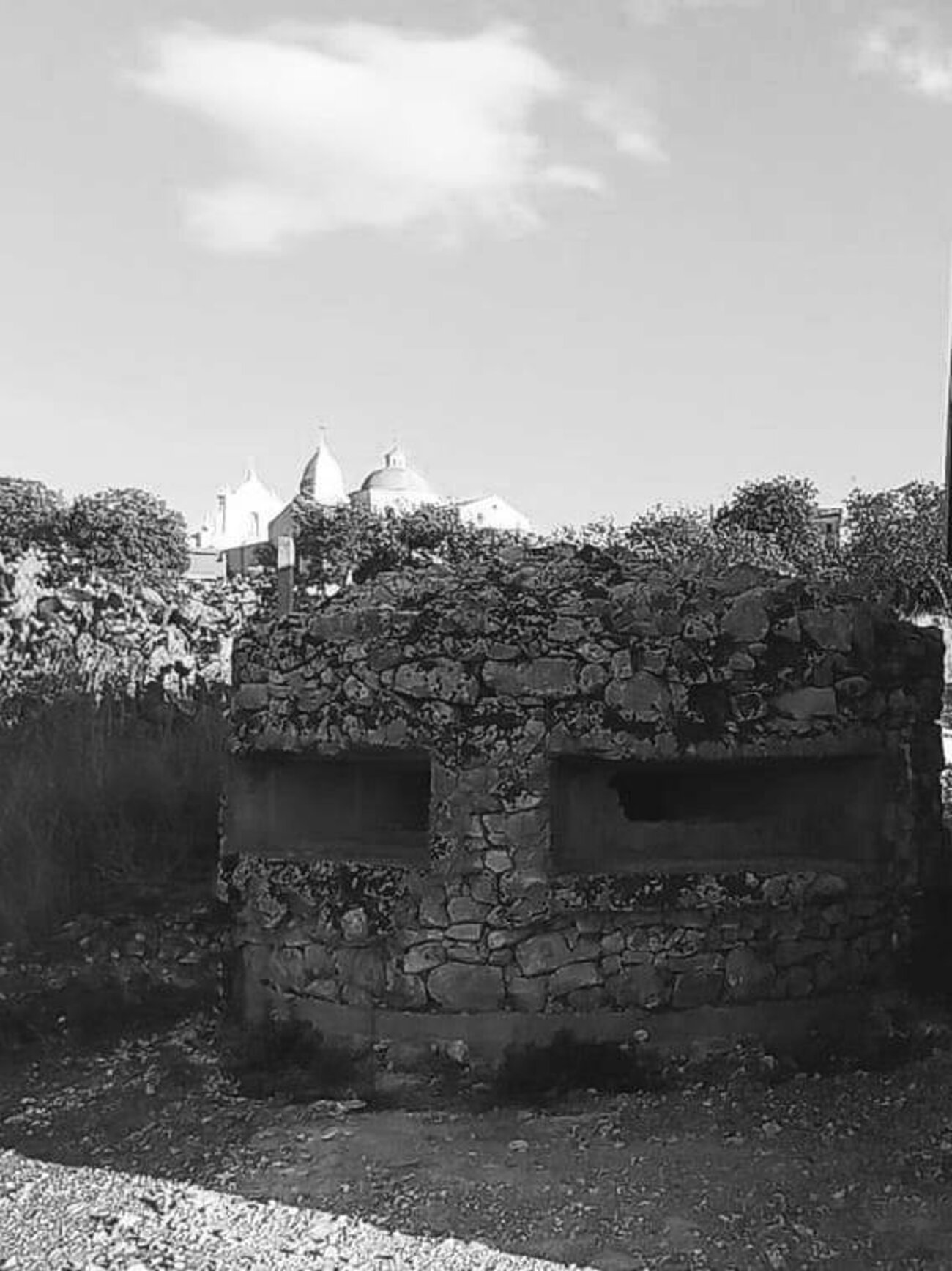 ca0868c0-08ae-4146-869e-1b30df2bd36e ca0868c0-08ae-4146-869e-1b30df2bd36e