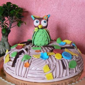 Gufetto Torta PDZ