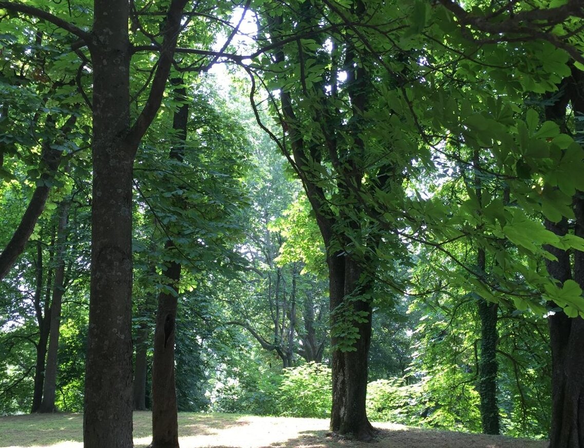 whatsapp image 2025-12-26 at 17.13.00.jpeg whatsapp image 2025-12-26 at 17.13.00.jpeg