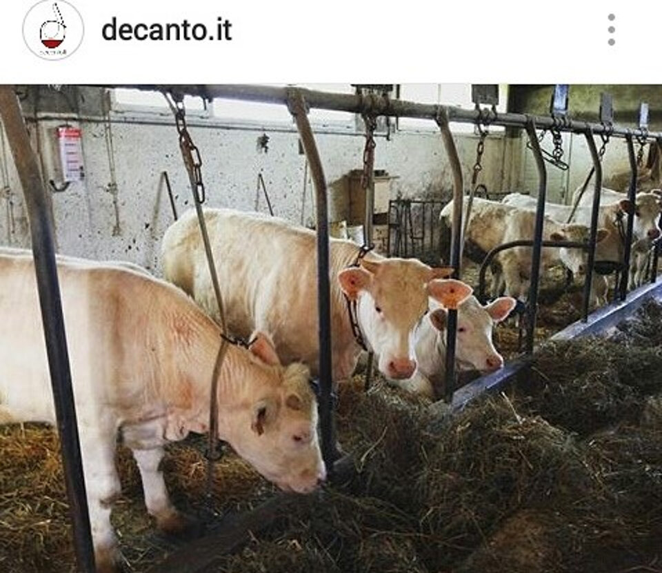 e3ff3cc5-5911-4892-9da7-d2912bf91527