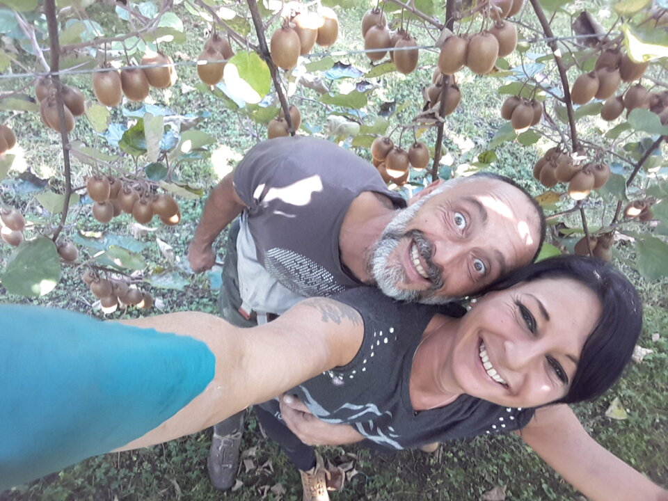 d0d9b5c4-7474-4d90-9b6d-00c05c4afbb8