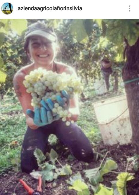 87e2b5de-c470-4f7b-bea4-490c833cd641