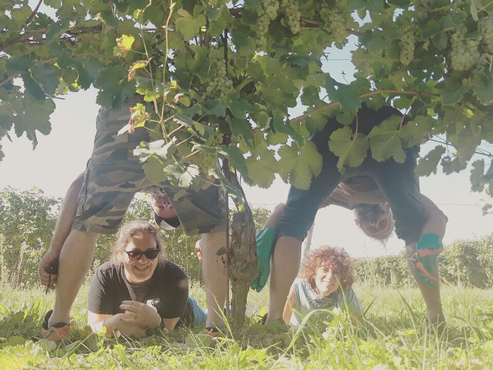 e7ec9d1f-cece-4314-9ade-5cdff1242896