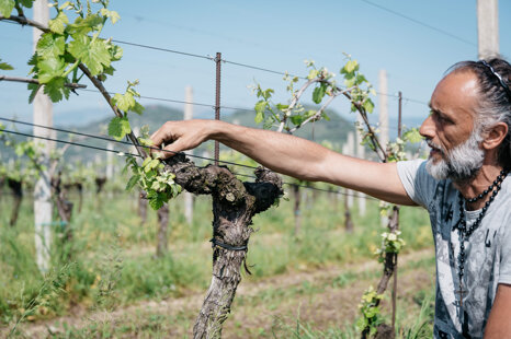 c749bc15-60ca-4c8d-a0a6-647d2c19b5ed