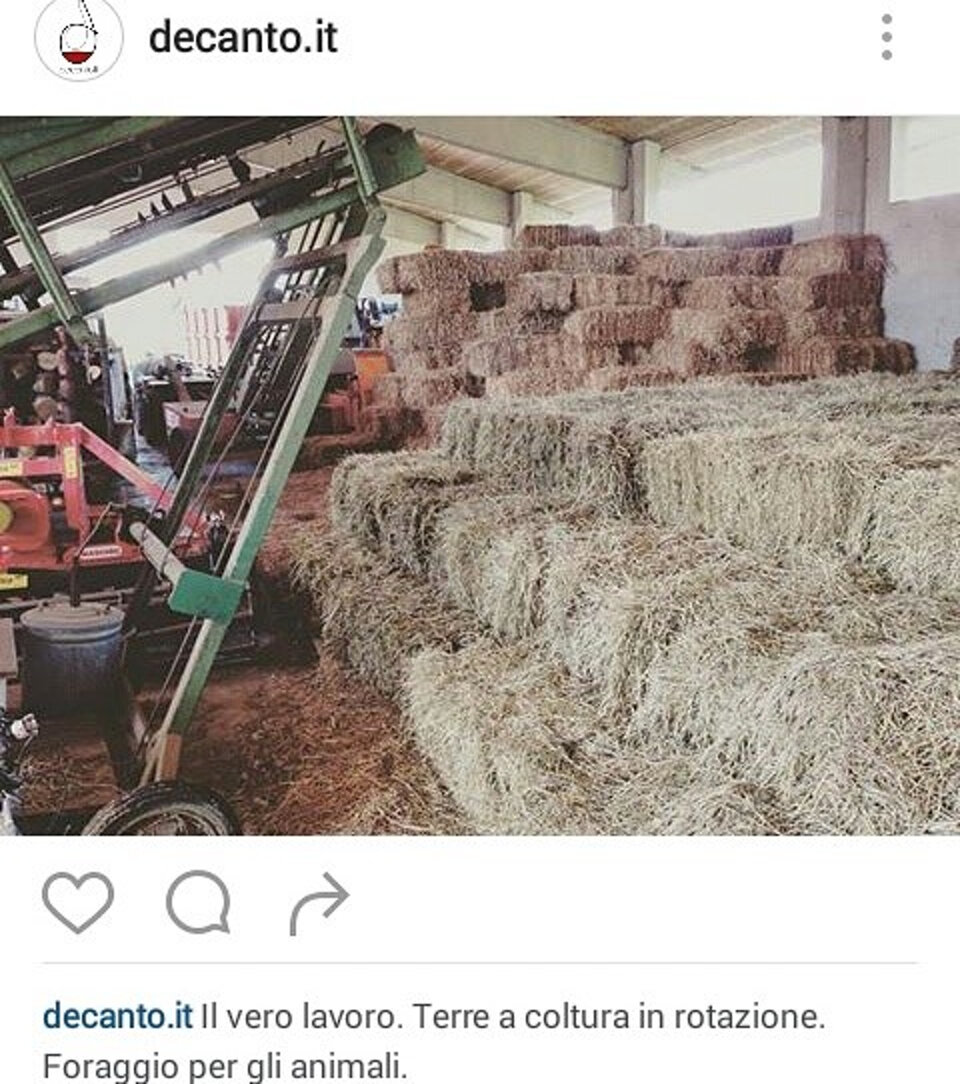 d9581685-a245-4bd2-901f-077e0f011f5a