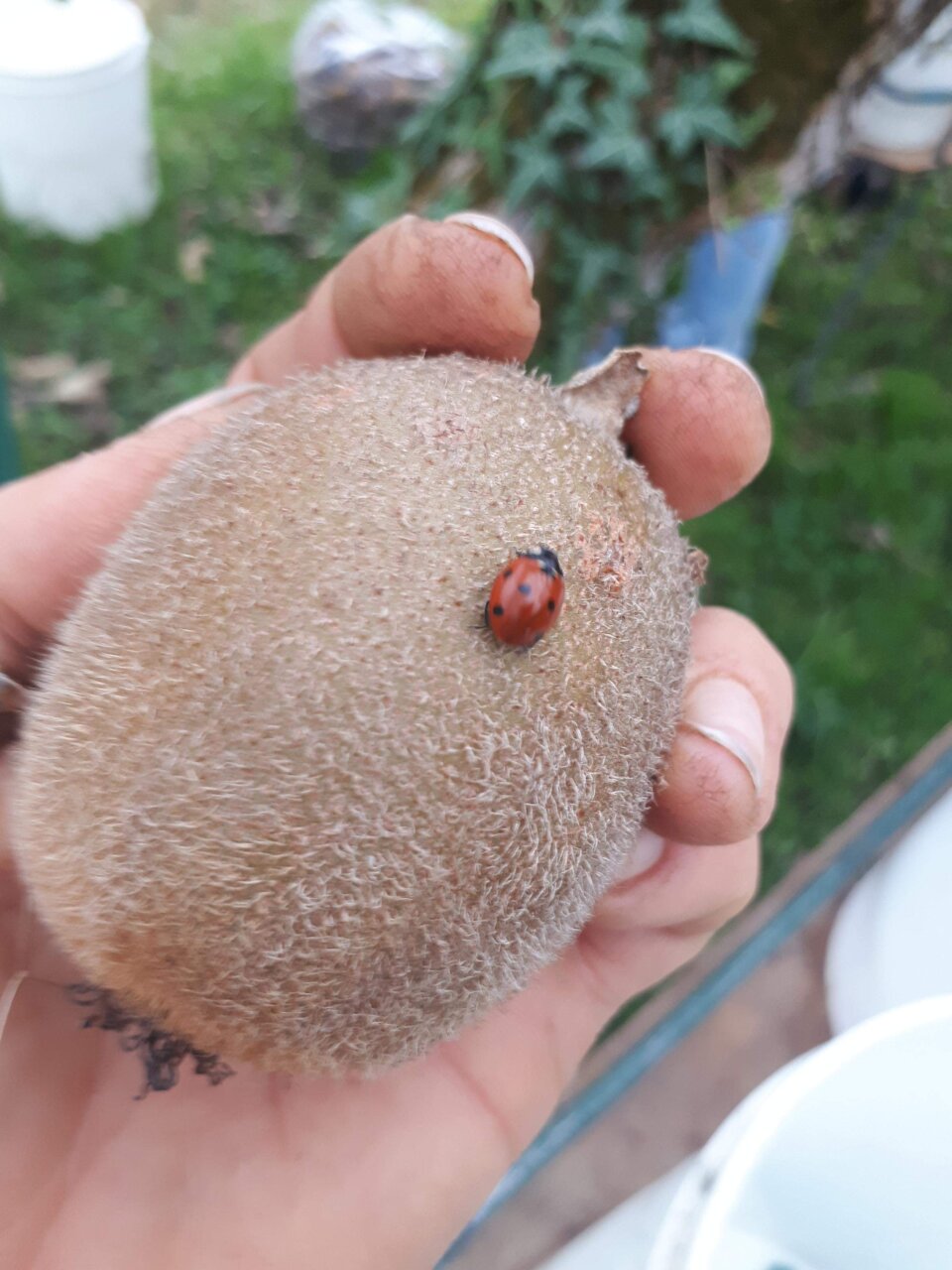 c7849a99-b623-44fb-b64f-aa4772e4719e