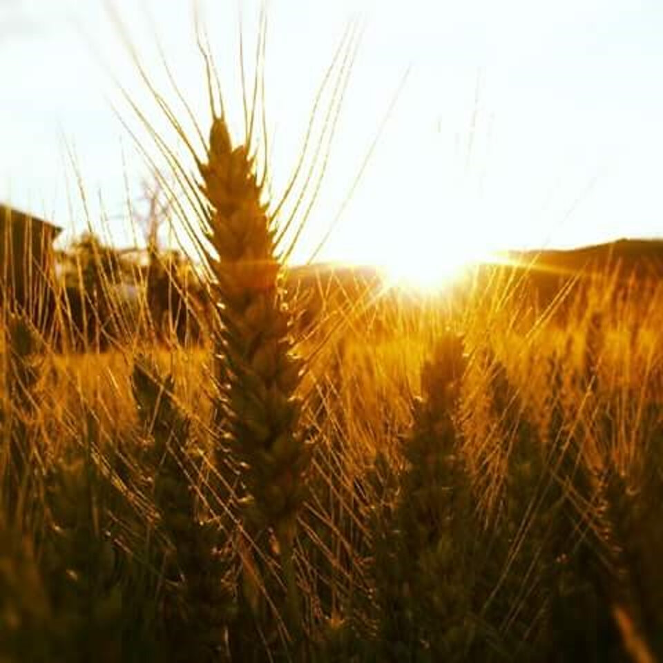 06532d2d-0caa-4c5d-afaa-476136e63016