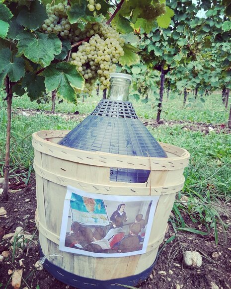 5fbcf677-104a-438b-8d13-e053920f7f53