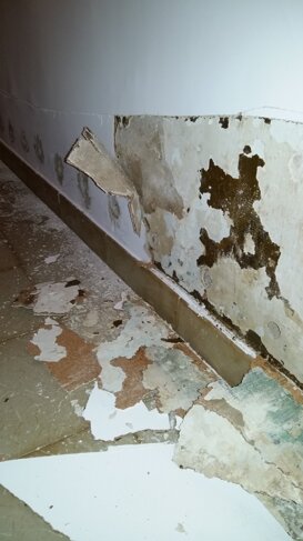 20160513_085018.jpeg 20160513_085018.jpeg