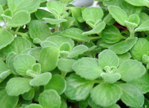 7f1b3a92-48ac-46a7-8b28-008e14257df4.jpg 7f1b3a92-48ac-46a7-8b28-008e14257df4.jpg