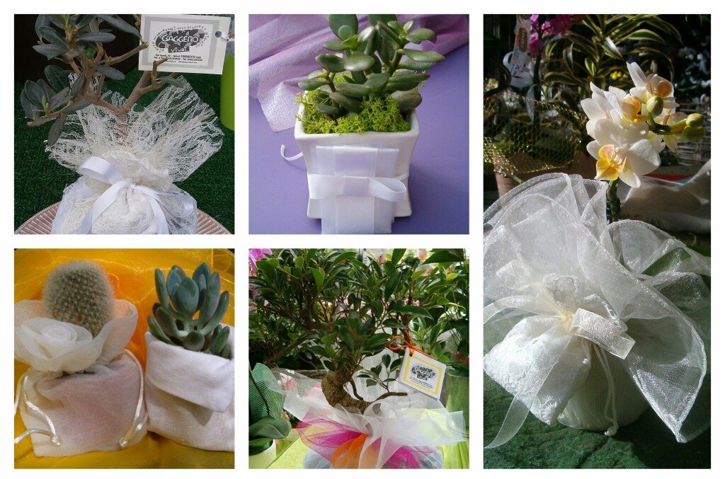 7ee1129baa044172b900fccc821e9360