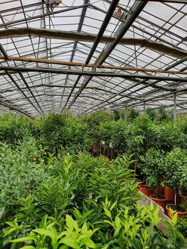 3bc5bda7-2ce6-4e90-9e60-b2f51ad7d92c