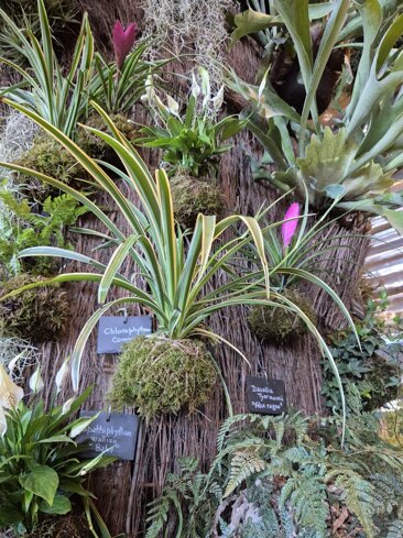 d017d3c1-ec9b-4345-8217-ffa8db8c66ba