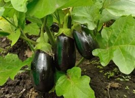 52b683de-e8d0-41dd-ab6d-cd60385b64af