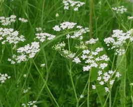 ed234dd9-91a9-4d53-9c4d-7ed97c88873d