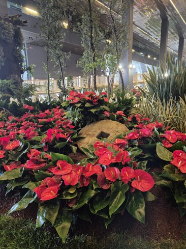 6451050c-557f-4836-95f4-ead2b1ba70a1