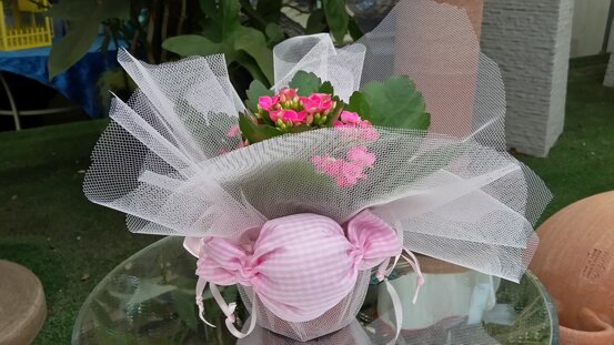 kalanchoaconcaramellaportaconfetti