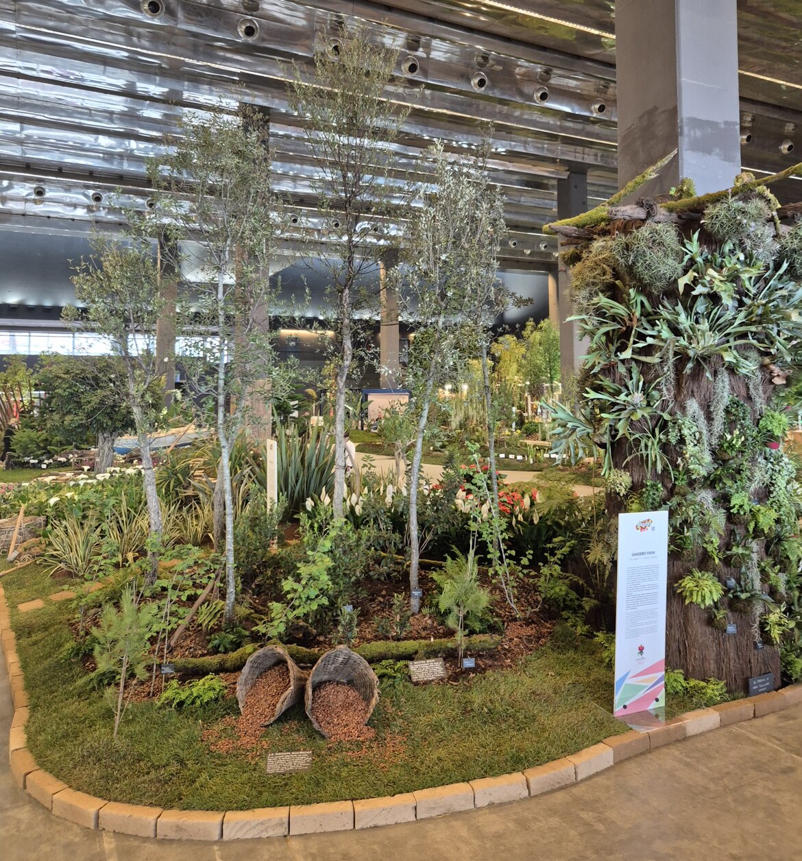 Corbezzoli, lecci, noccioli 