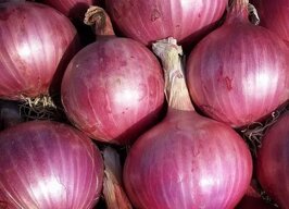 8e1bb1fc-5039-4774-937f-580a07be7c19