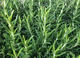 639bf59f-964a-4f00-969c-7997012e7301