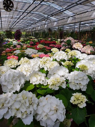 4bd30e60-f64f-4d88-af0f-cef37612378b