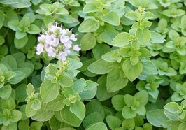 113b60cf-9c2b-403b-ae90-b481ef560f4f