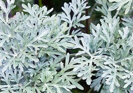 e5b417b4-ad57-48e1-9759-41507f1c4087