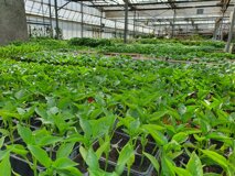 7cad0e3c-bfc5-4ea3-955b-efef8176524b