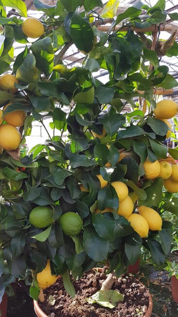 cd4a4858-b65a-4c89-8780-28e9cf130e95