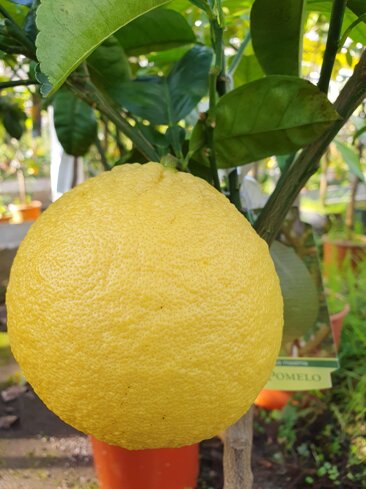 3e0a657d-076c-4d92-8585-2361ccc9233a