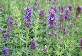 3a153505-c250-4e76-bc9e-bf3efbad2b1e