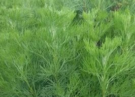 d356ea35-bc38-4612-94a1-bd3aa838fa3d