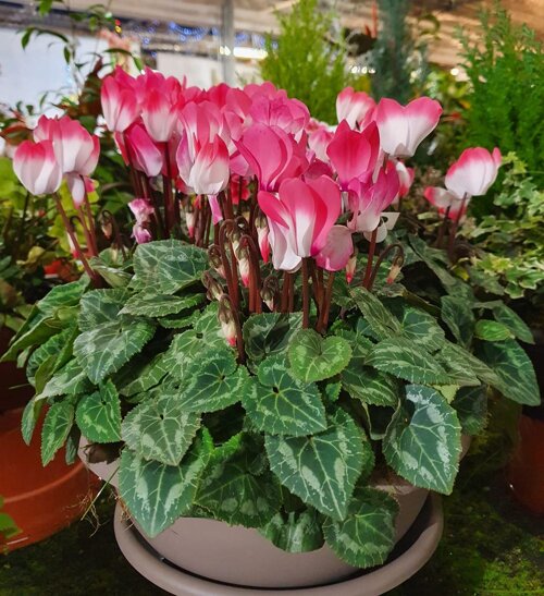 bd855f3b-16dd-4c72-8711-58fccc7ec1a0