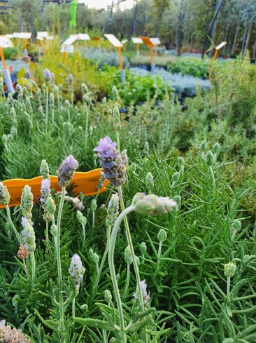 8513a9bb-81c4-4fdf-a352-9d2db447b767