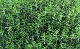 99113122-1156-44b0-92c6-4cc46c7cbd65