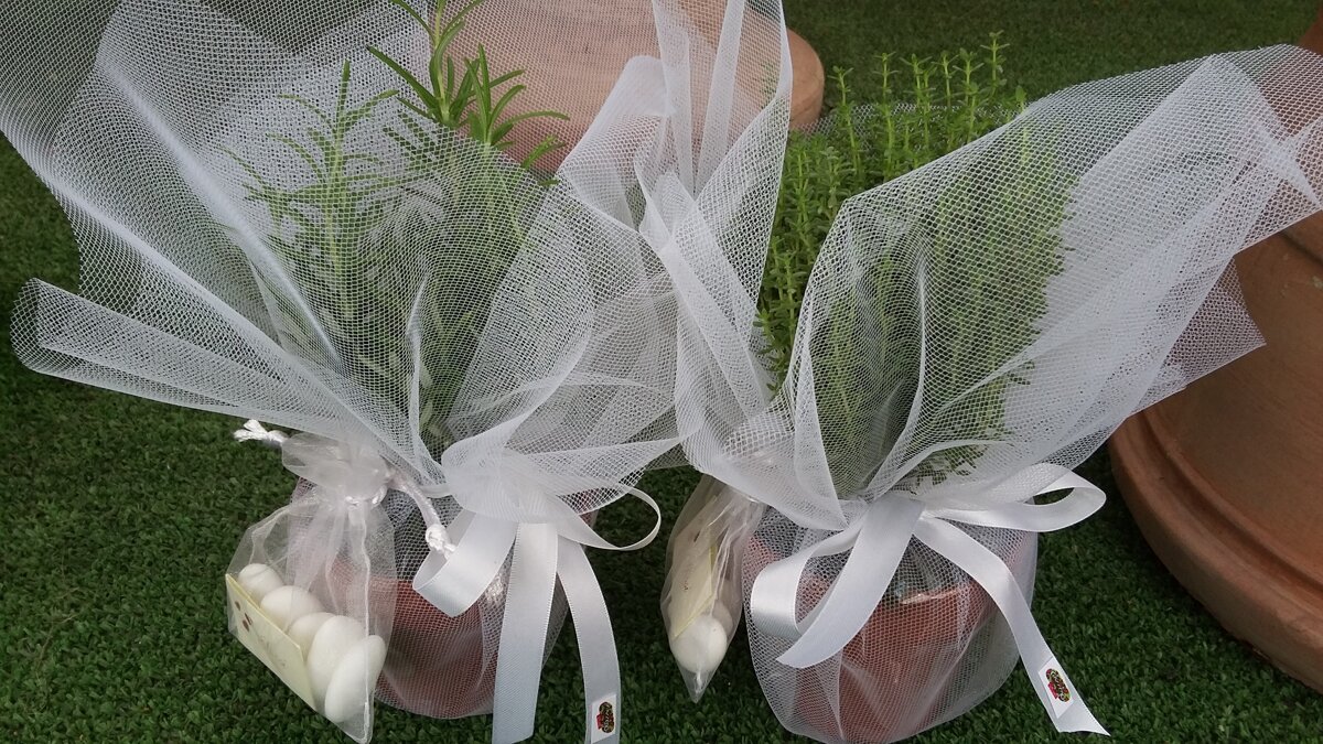 gaggerovivaitimoerosmarinocontulleefioccoraso