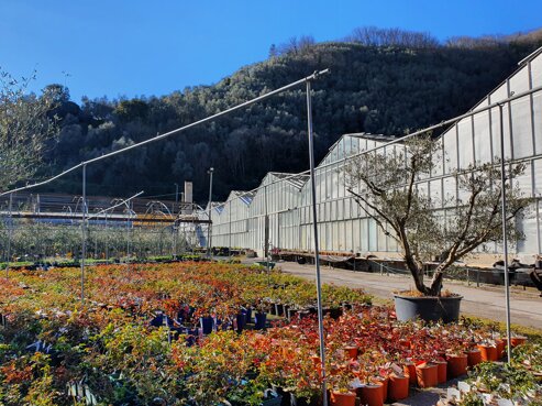 20210321_161039.jpeg 20210321_161039.jpeg