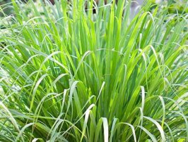 dbac481e-8f2f-4f3a-86dc-0954380b59ce