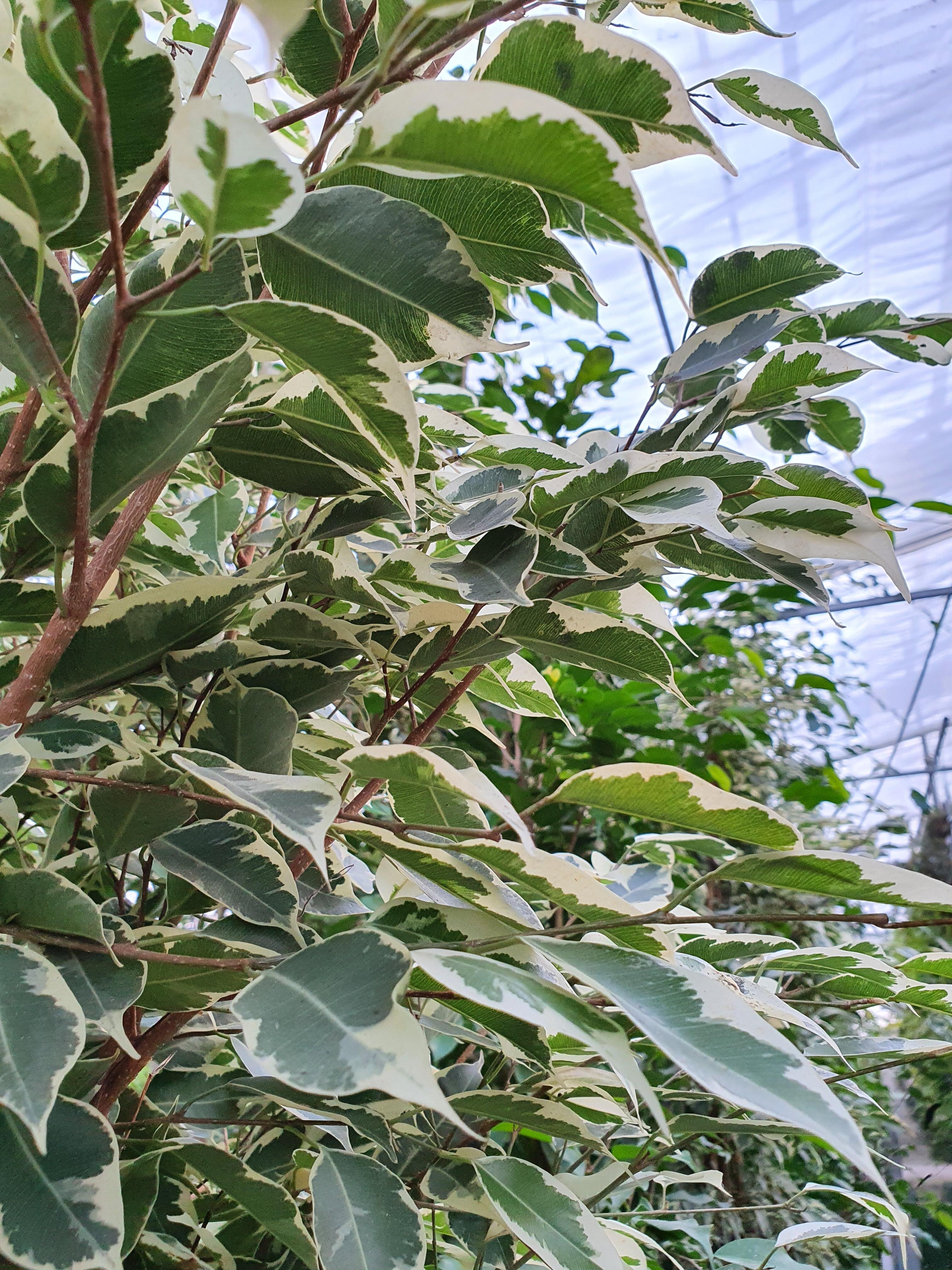 7801873d-a7d8-4259-ab91-4b66ce428f8c.jpg 7801873d-a7d8-4259-ab91-4b66ce428f8c.jpg