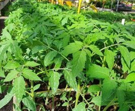 6b016355-5de8-42d6-92d8-b4b1bf8fa625