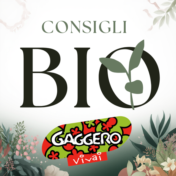 consigli bio gaggero vivai 1