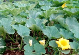 7f49ed05-9e27-4094-9422-b312d9ccc5b0