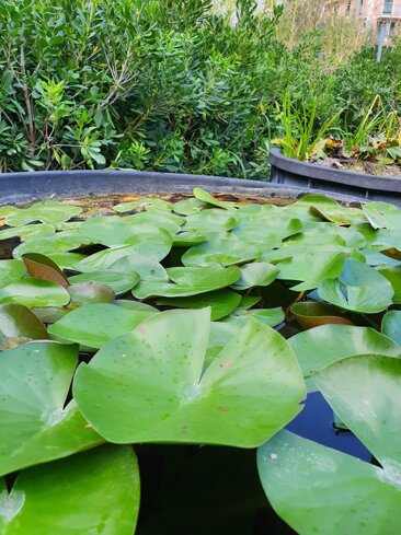 d599f1ea-cee0-4631-b2e7-f274c4a23163