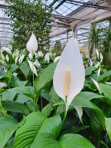 8cc1cac8-1557-4e2b-be4a-b51428dbfe1d