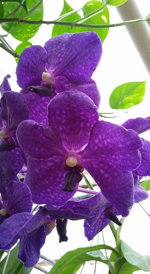 1e74dbfb-4042-4501-996d-6025c20ace04